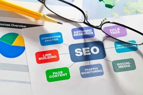 Professional SEO Services in St. Petersburg, FL